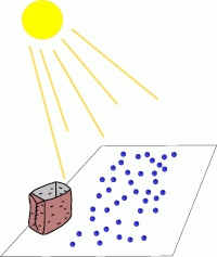 Image courtesy of Aboriginal Education, School District 52 missing: ../jpgs/tpr-jpgs/Unit 8- action- dry berries.jpg
